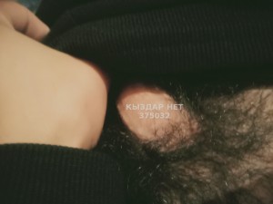 Жиголо Шымкента Анкета №375032 Фотография №2902337
