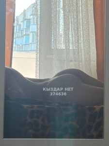 Жиголо Астаны Парень№374636 Asylkhan Фотография №3787423