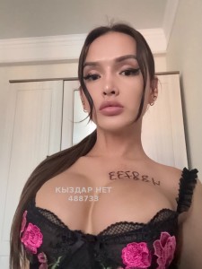 Транс Алматы Анкета №488733 Фотография №3822476