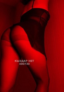 Проститутка Усть-Каменогорска Девушка№490730 Aylara Фотография №3845941