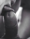 Фотография №3849806