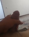 Фотография №3857644
