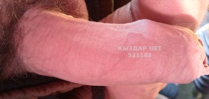 Жиголо Петропавловска Анкета №521188 Фотография №3888978