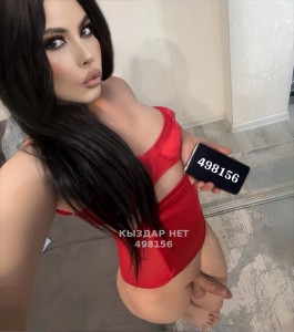 Транс Шымкента Транс№498156 Nihan-приват канал-на пару дней Фотография №4001109